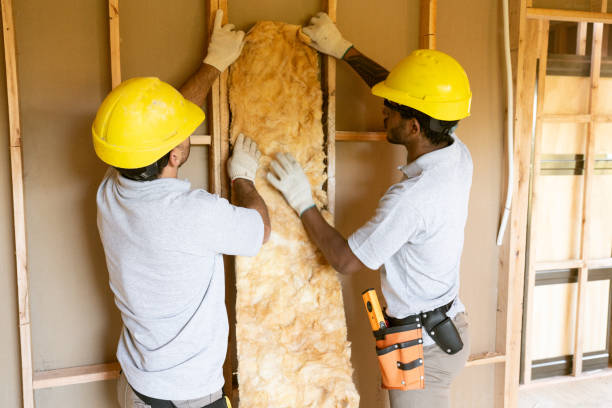 Types of Insulation We Offer in Sun Valley, NV